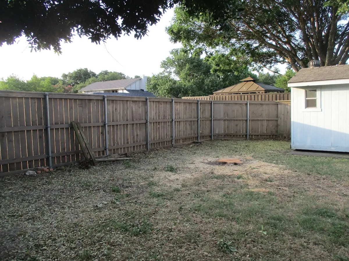 Cleared yard after professional tree removal in Grafton